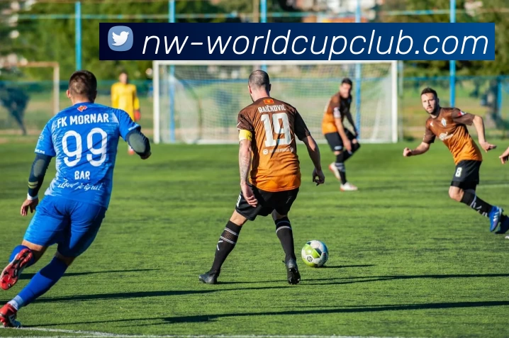 世俱杯投注官网平台生态图